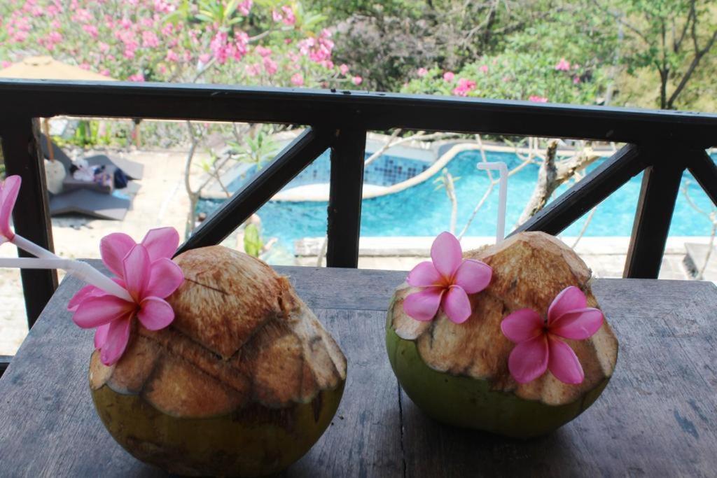 Lombok Coconut Hotel Mangsit Εξωτερικό φωτογραφία